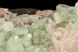 Zoned Apophyllite Crystals With Stilbite - India #91328-1